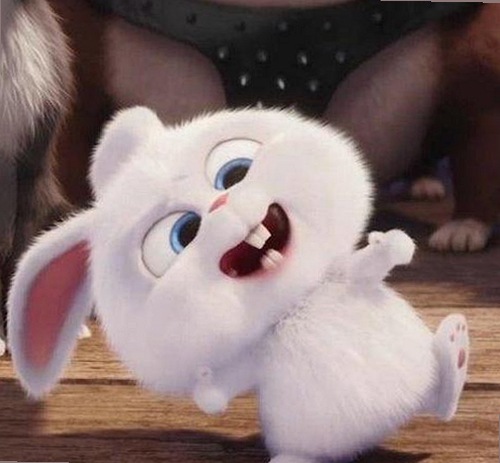 娱乐圈今日大瓜：明星秘密和爆红事件全解析